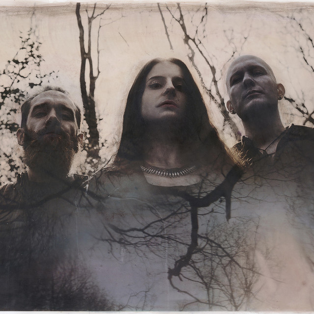 The Dear Hunter